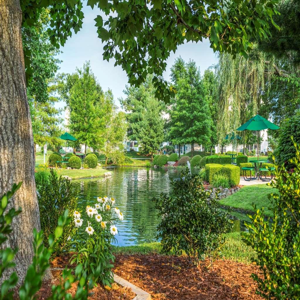 The Suites At Fall Creek Μπράνσον Ανέσεις φωτογραφία