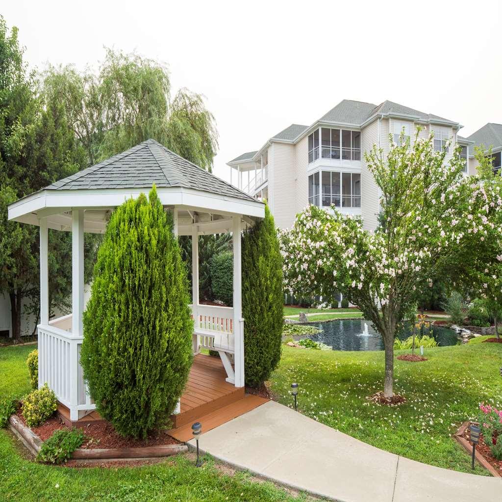 The Suites At Fall Creek Μπράνσον Ανέσεις φωτογραφία